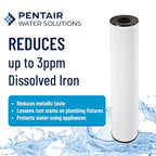 Pentair Pentek RFFE20-BB Big Blue Water Filter