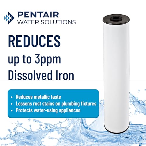 Pentair Pentek RFFE20-BB Big Blue Water Filter