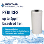 Pentair Pentek RFFE20-BB Big Blue Water Filter