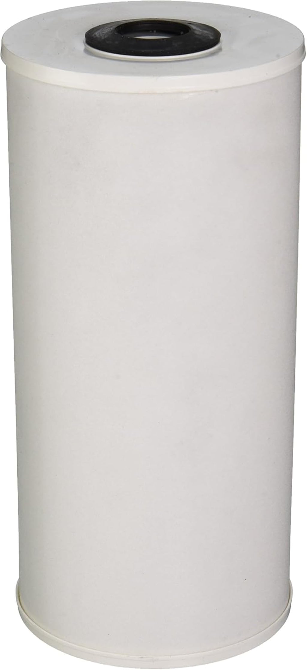 Pentair Pentek RFFE20-BB Big Blue Water Filter