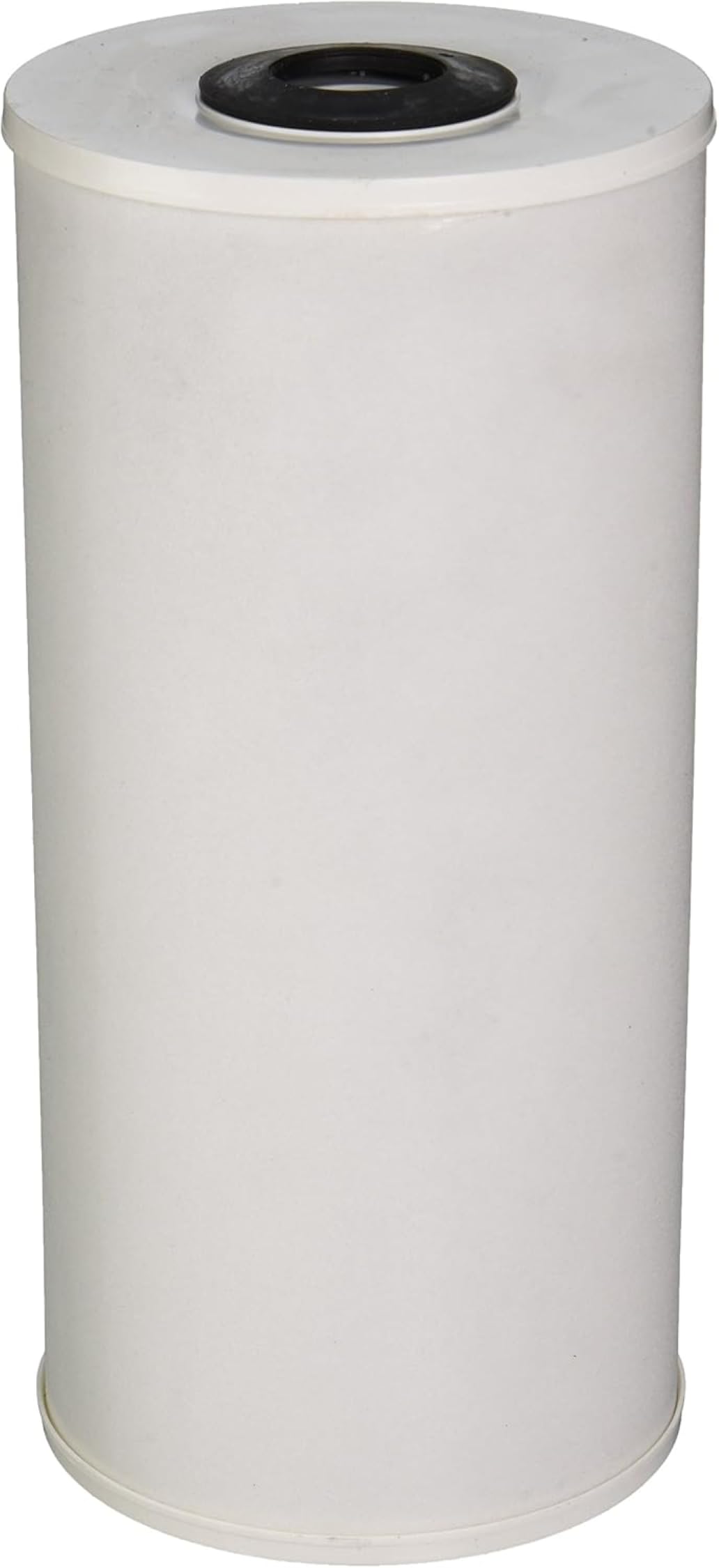 Pentair Pentek RFFE20-BB Big Blue Water Filter