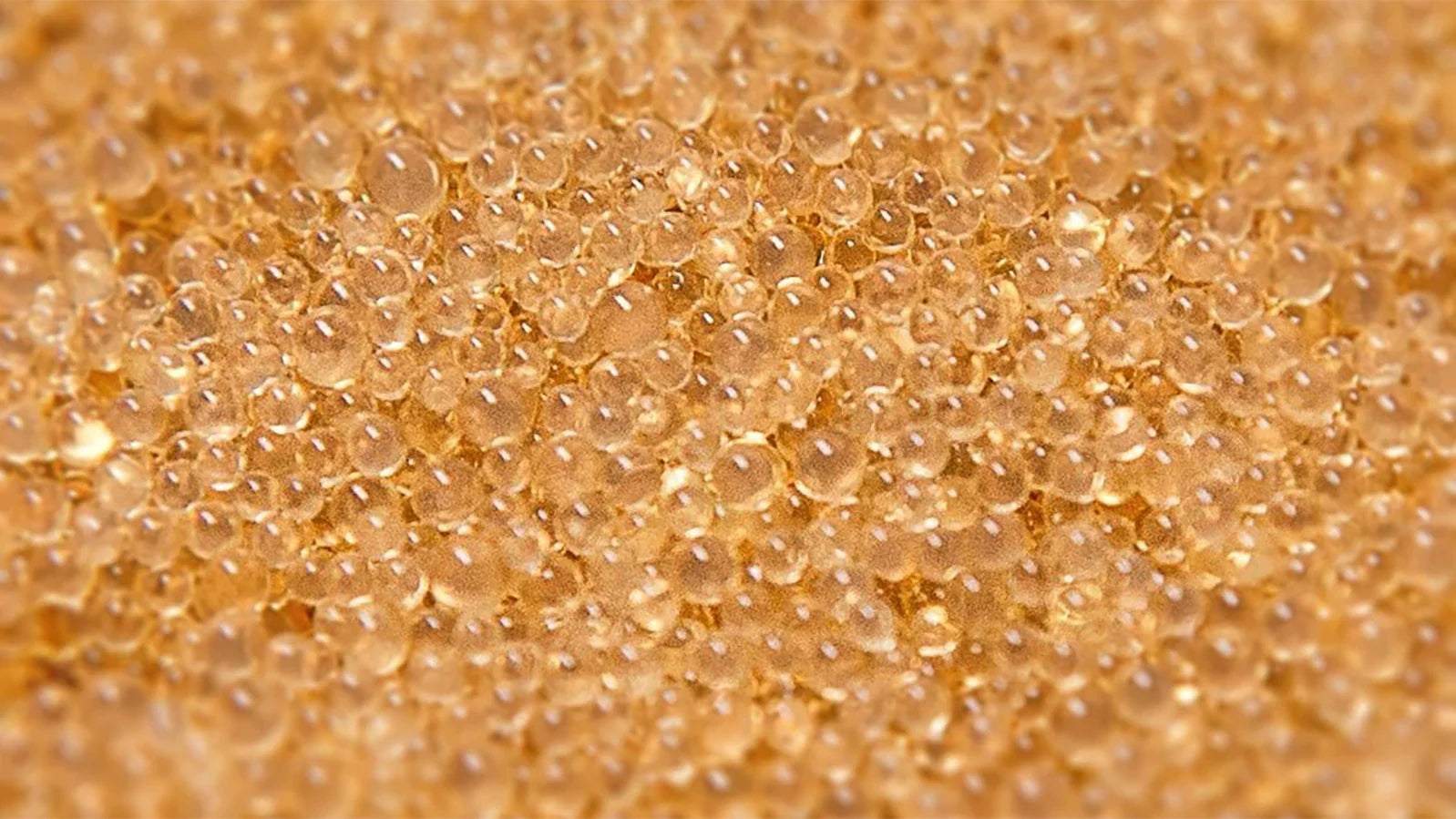 5600SXT Water Softener Resin Rebed Kit