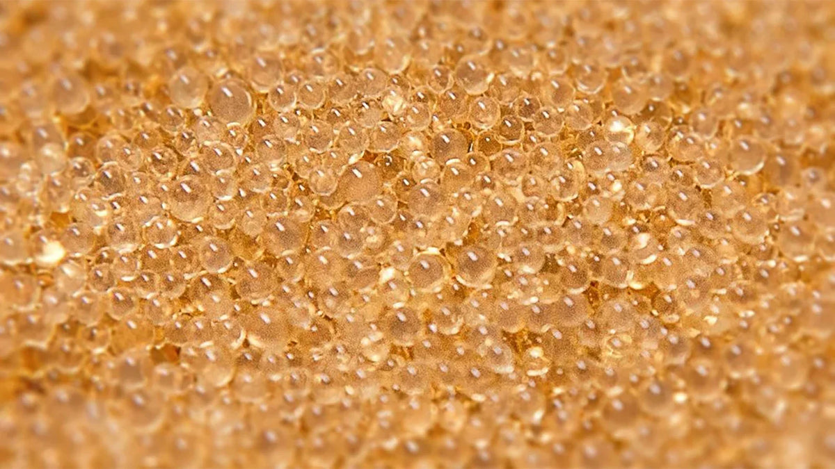 5600SXT Water Softener Resin Rebed Kit - 10% Resin